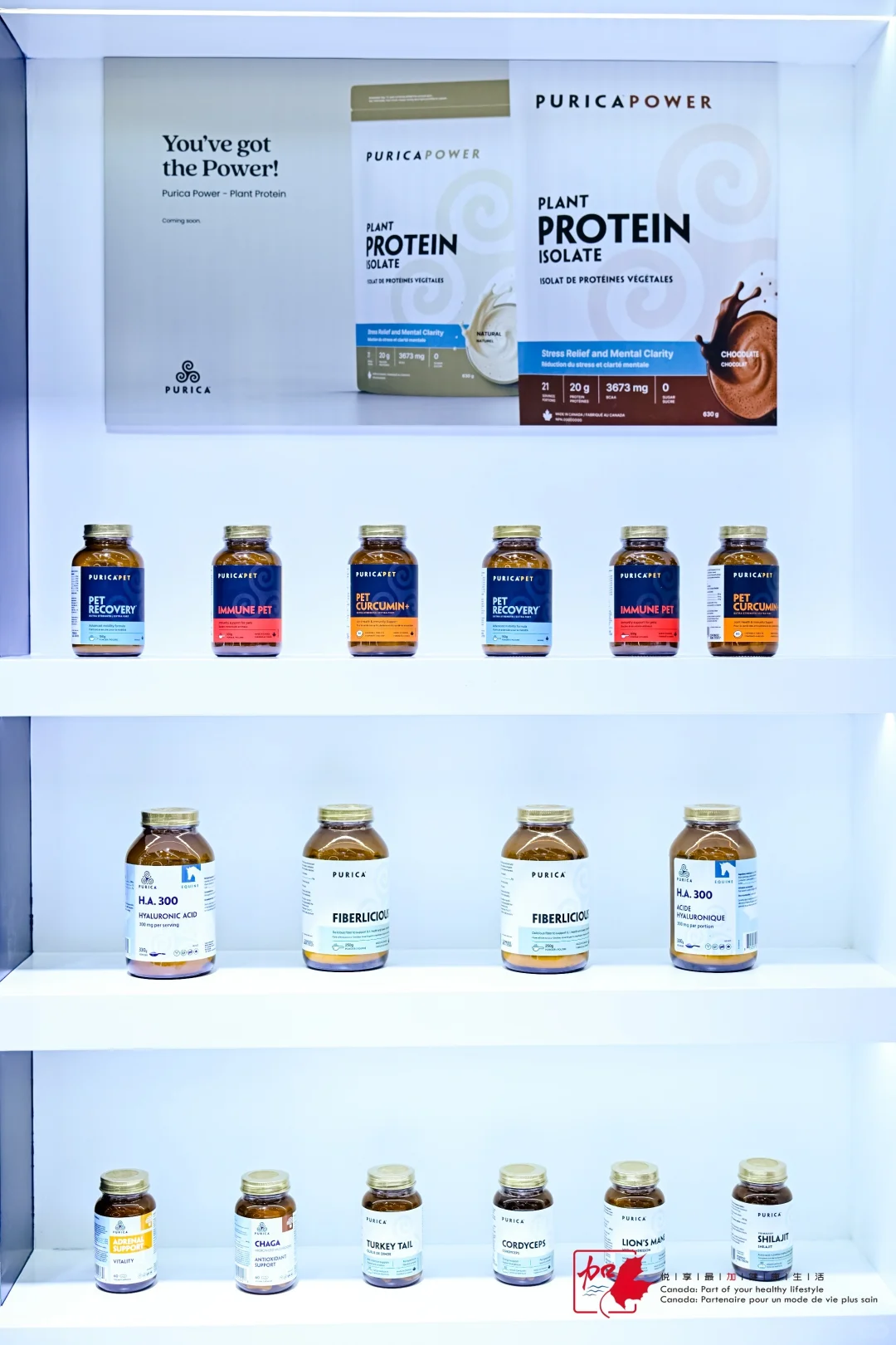 今年进博会终于结束啦