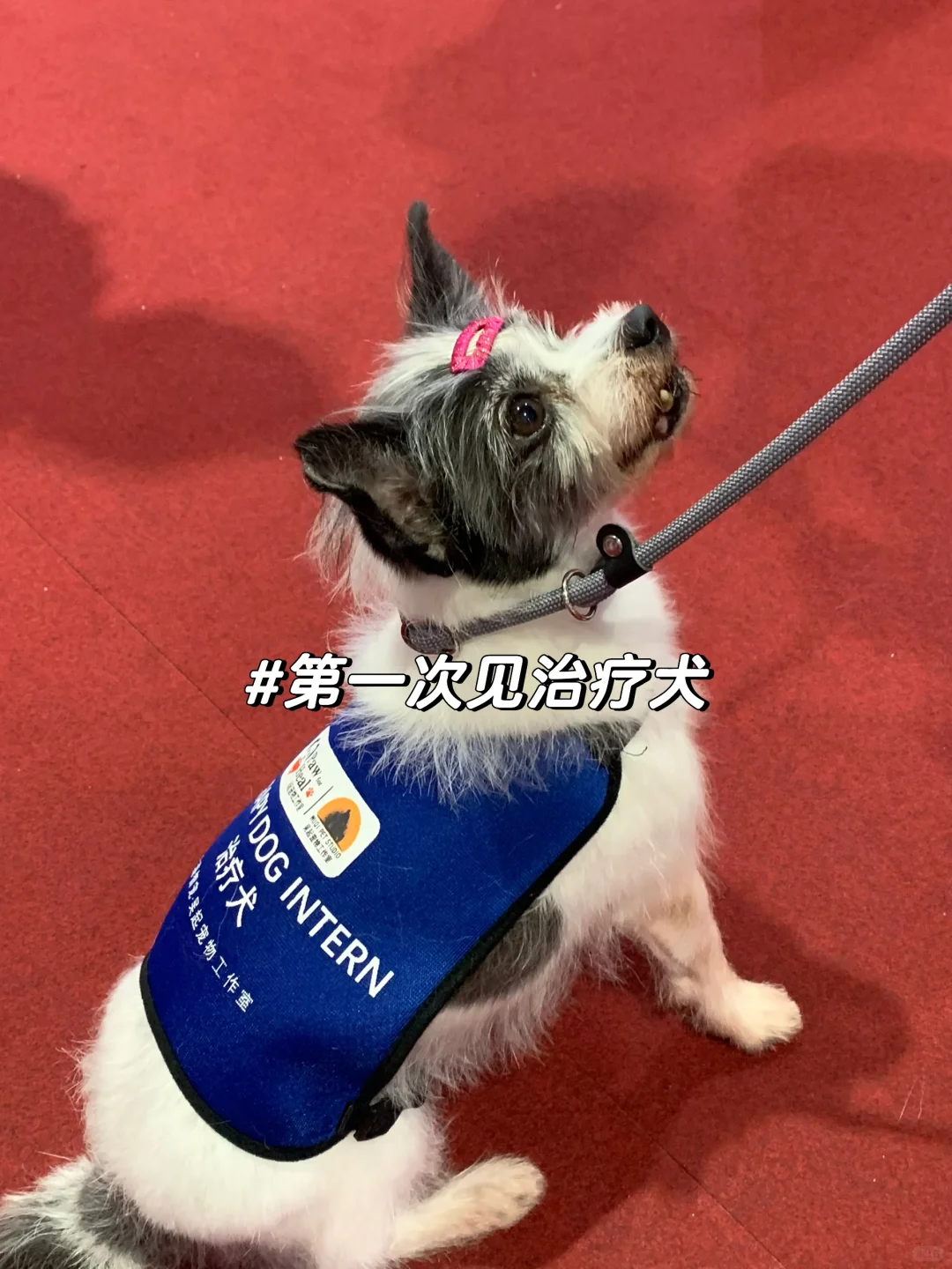 xiii?的SNAI日常｜进博会新体验