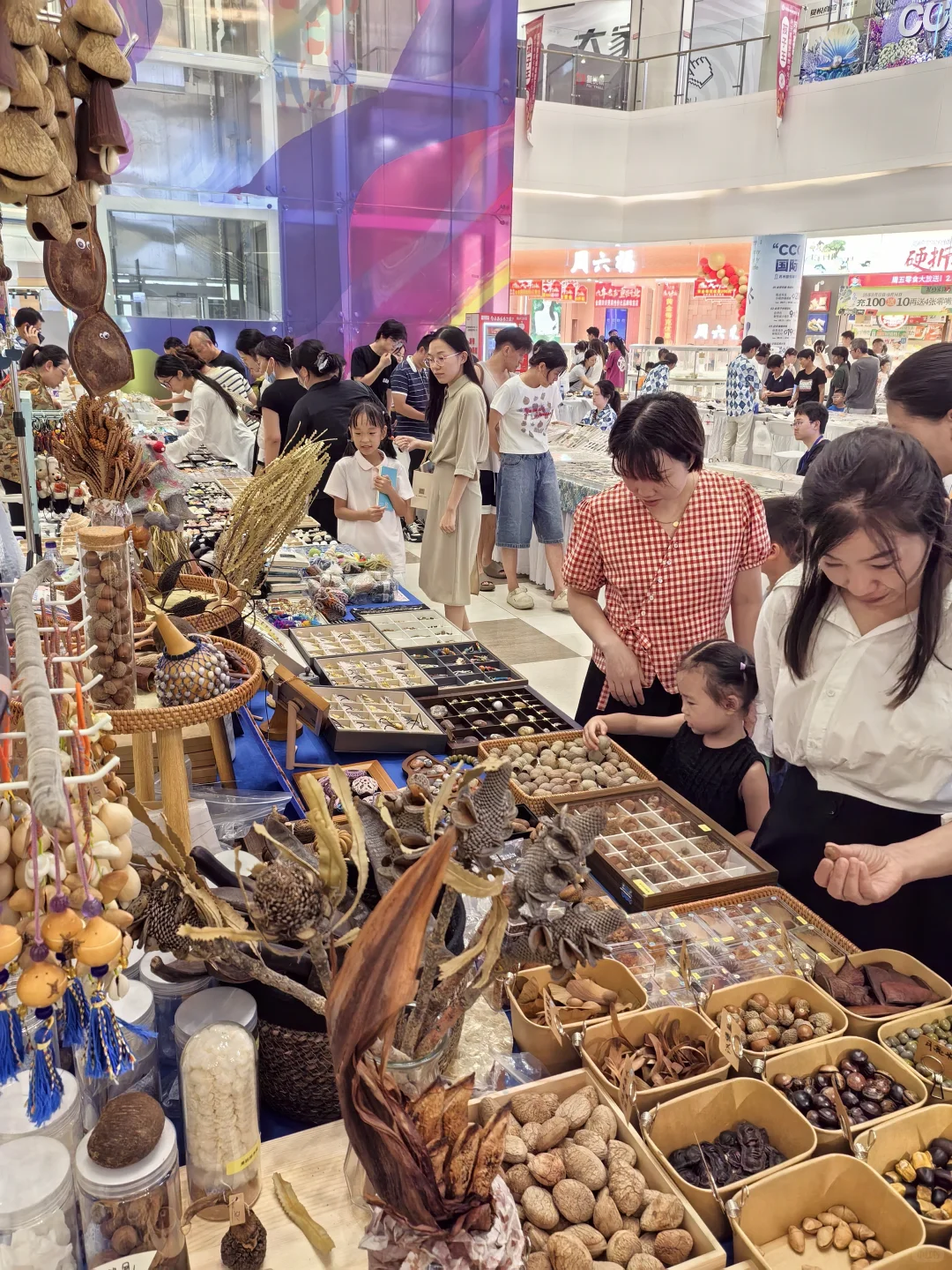 杭州贝壳展，攻略来了