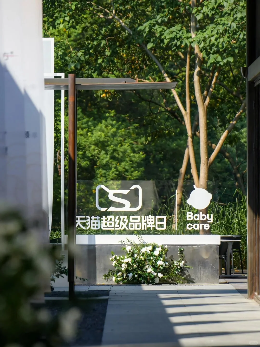 见证88场创意活动|Babycare金·山茶沙龙会