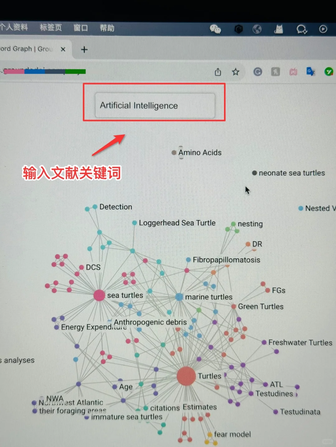 我愿称之为本年度伟大的发明‼️