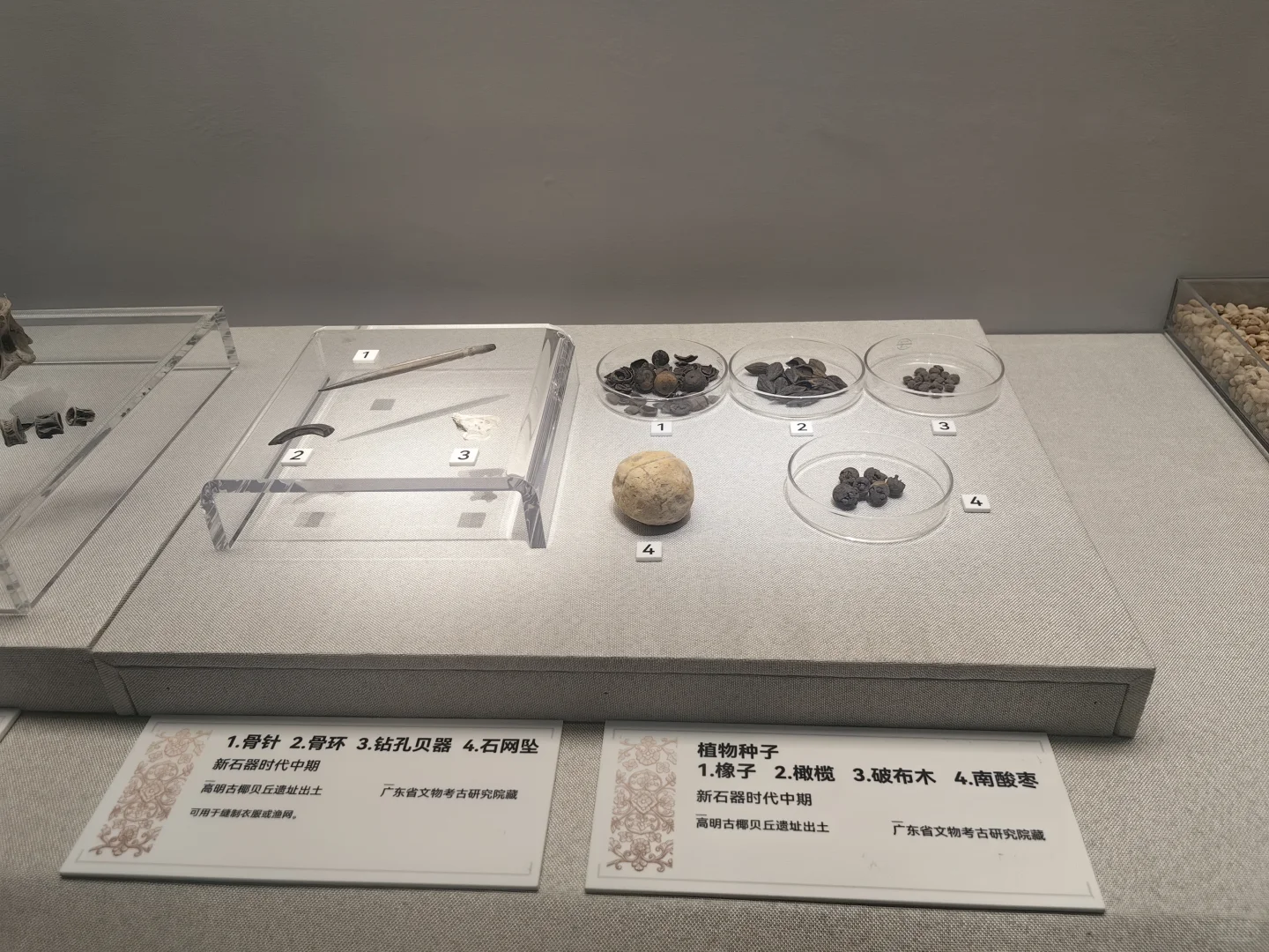 从石器时代开始了解广东