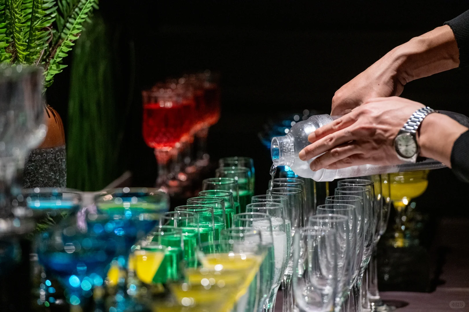 Ten Science新品发布会??