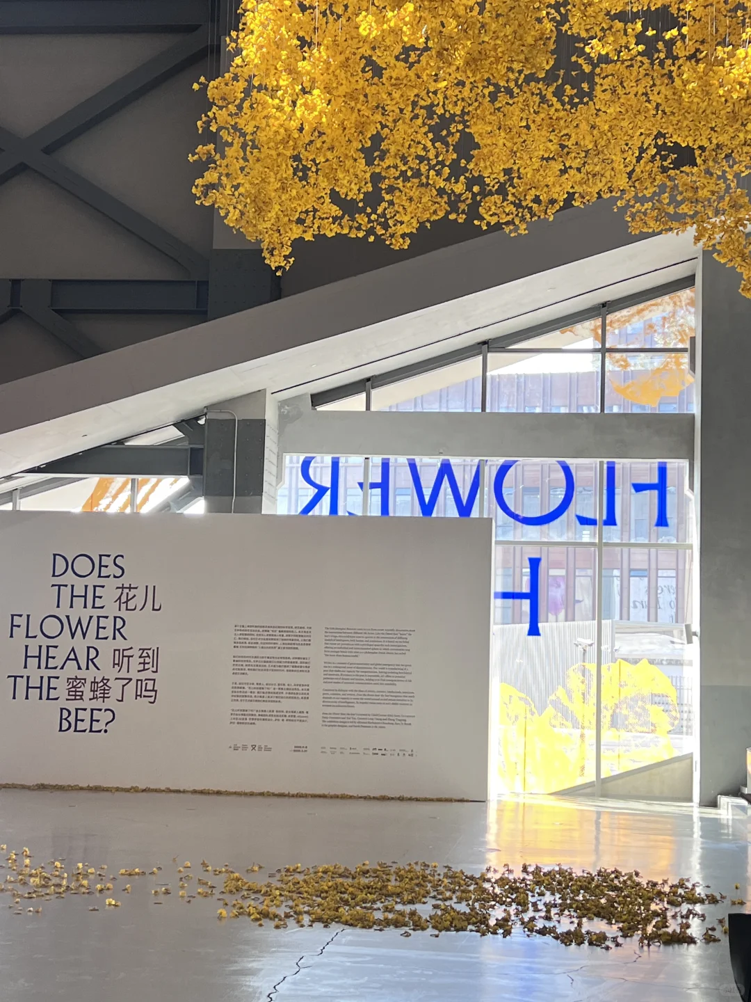 逛完这个展像给大脑做了场排毒?‍♀️