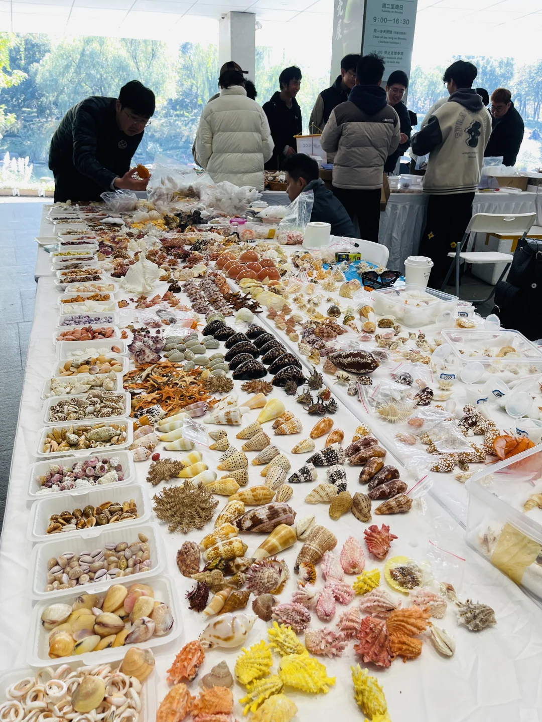 杭州国际贝壳展 现场实图