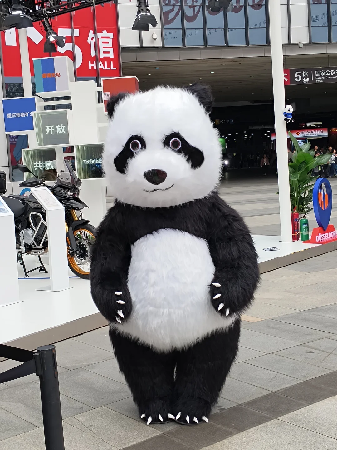 进博会结束后的两周...