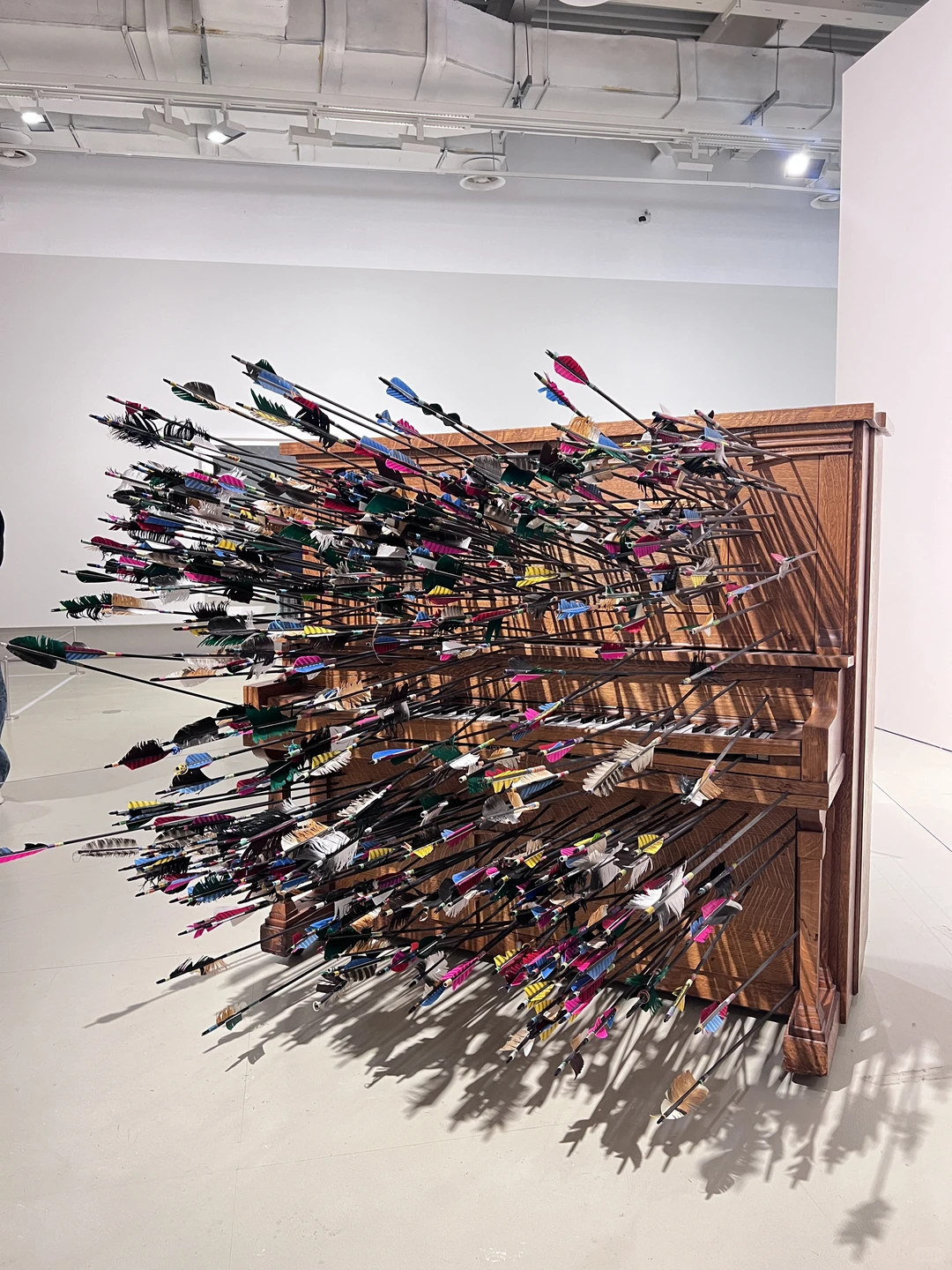 逛完这个展像给大脑做了场排毒?‍♀️