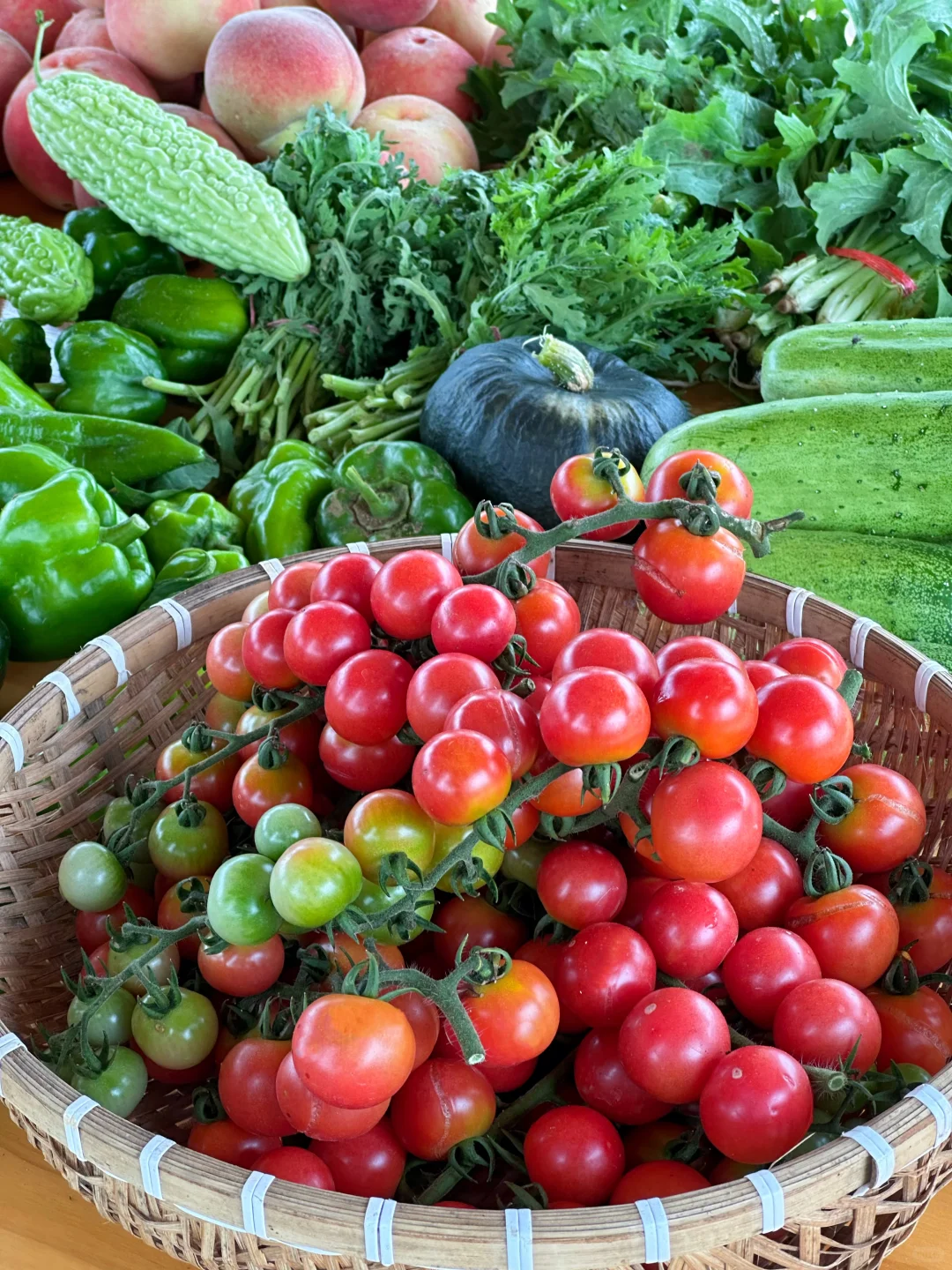 农场生活｜一不小心实现了蔬菜自由！
