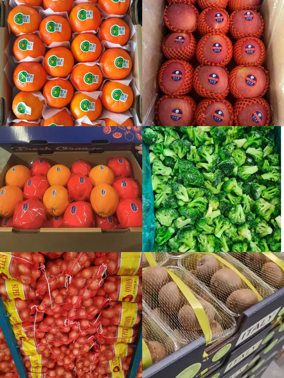 水果蔬菜专注出口，农产品出口多种国家