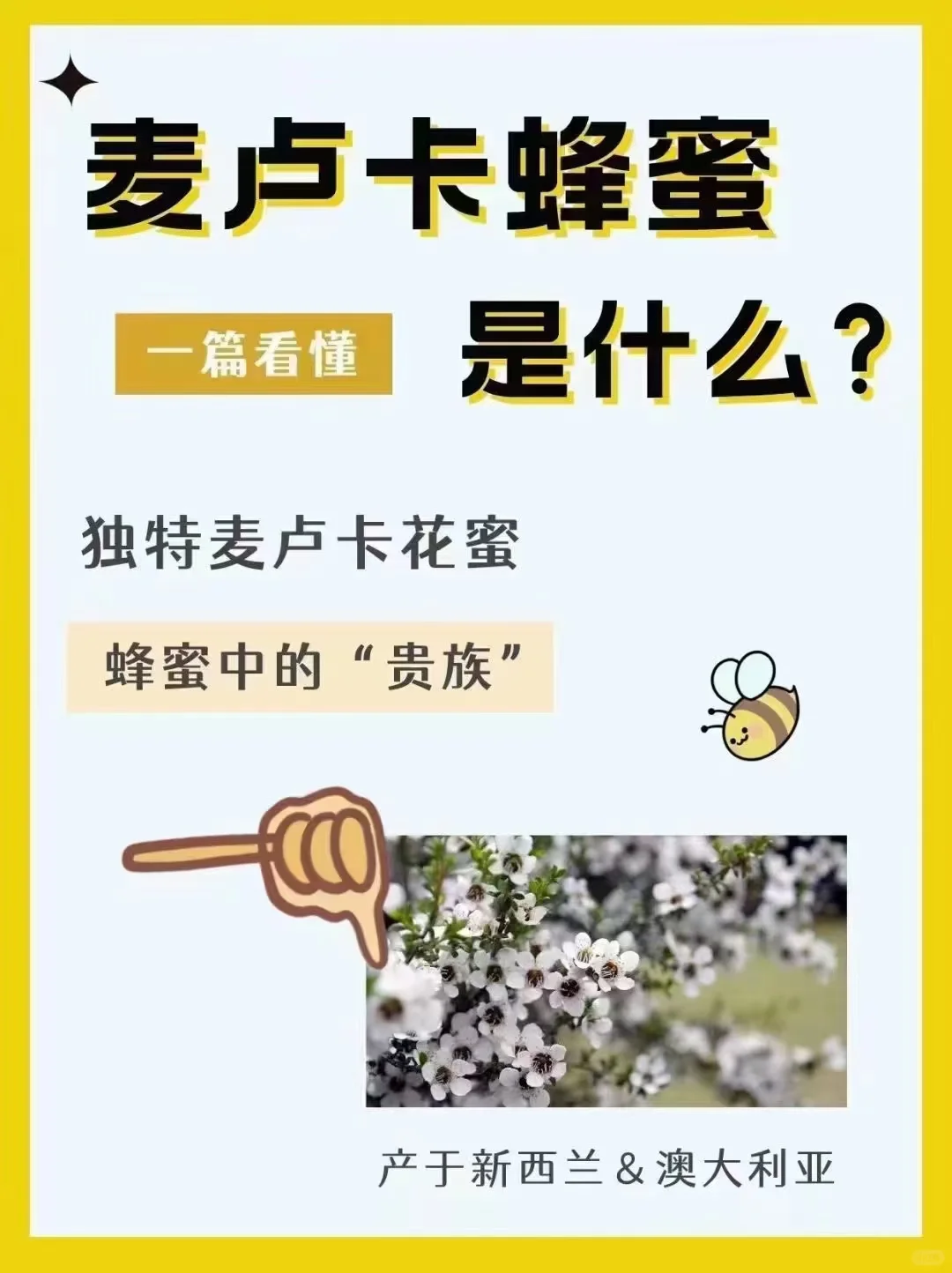 澳洲麦卢卡蜂蜜?正品