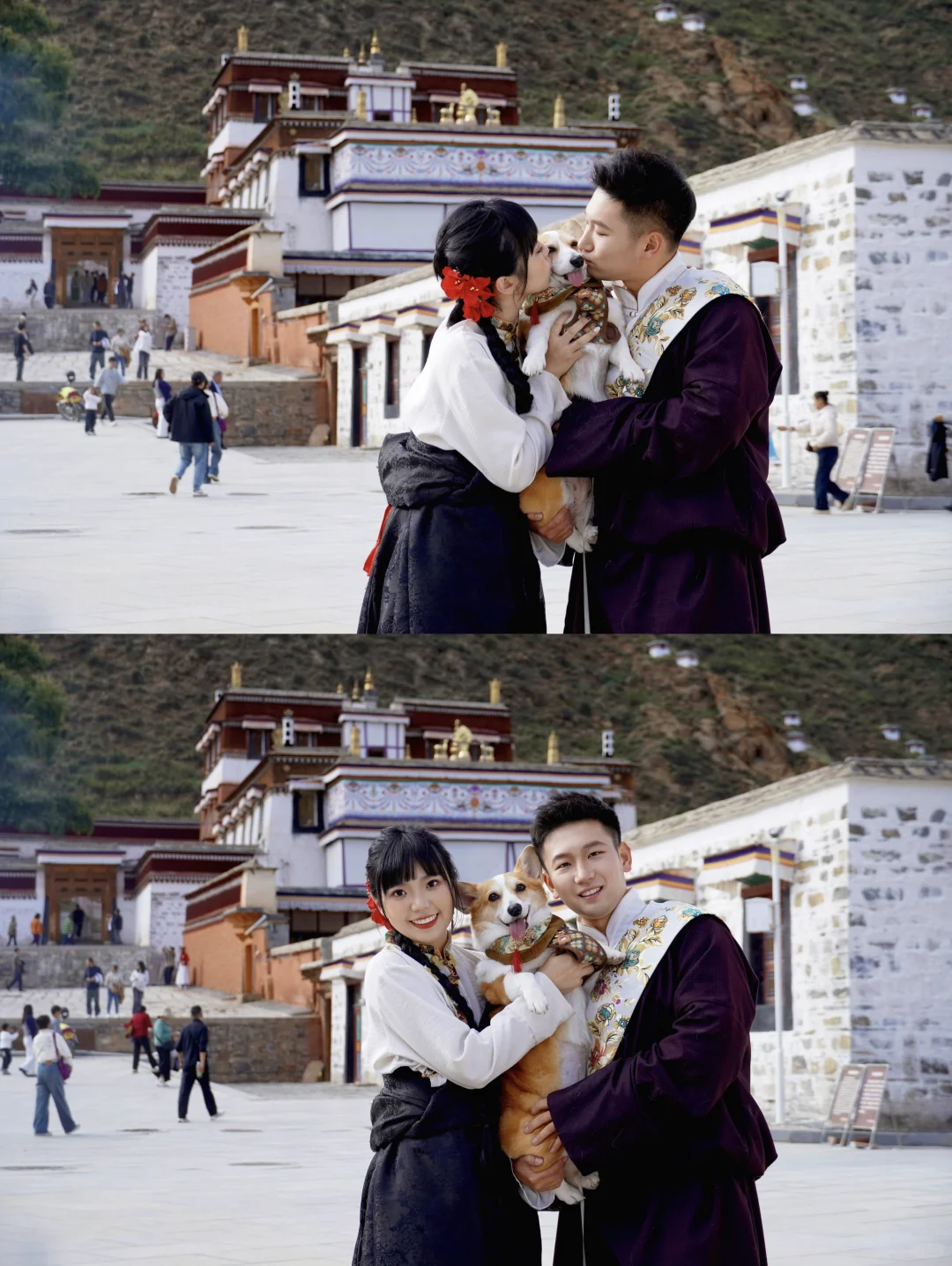 天津出发~带狗自驾甘南-拉卜楞寺