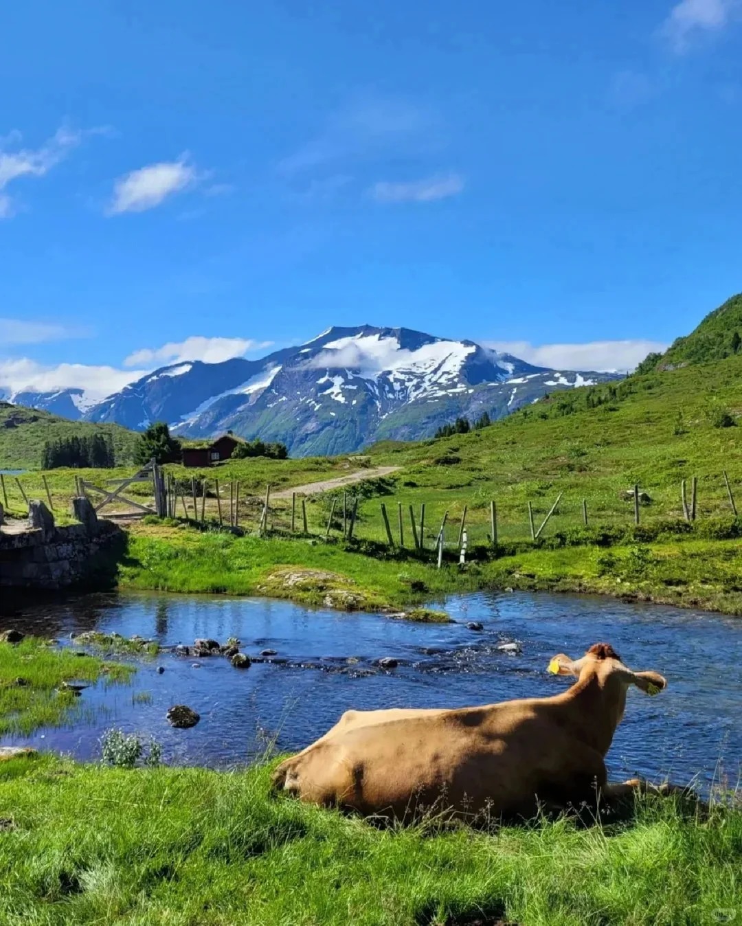 ?抓住2024乡村文旅红利,创业赚钱两不误