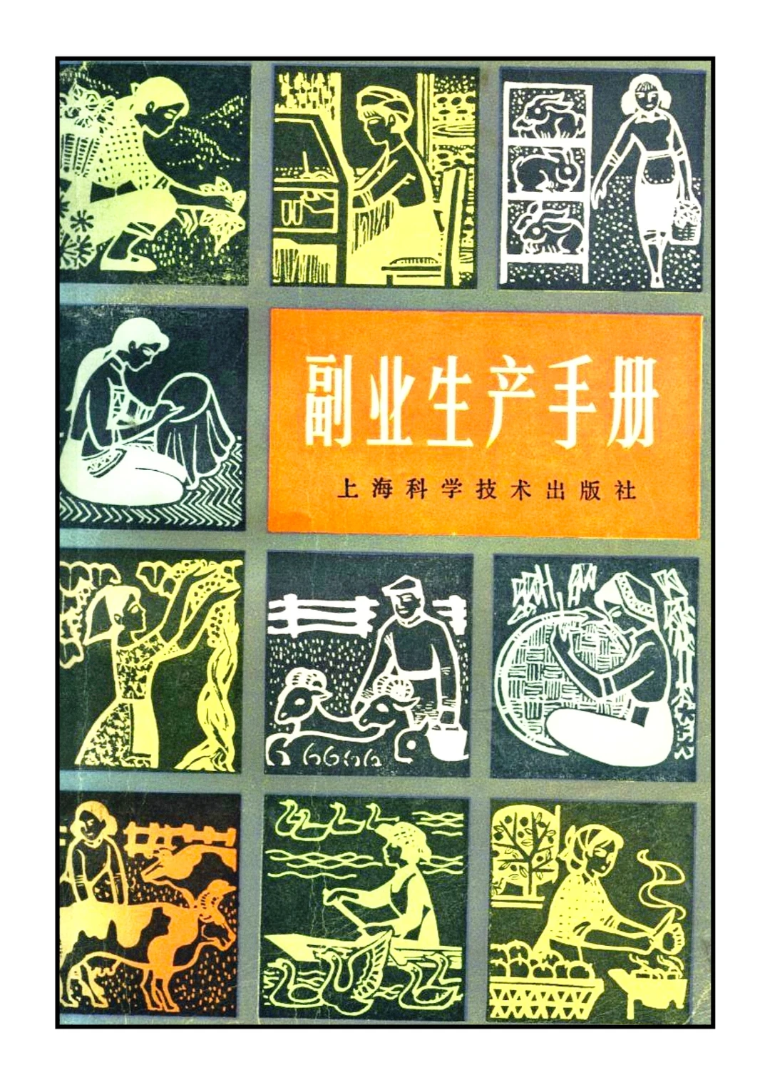 副业生产手册，农村创业指南