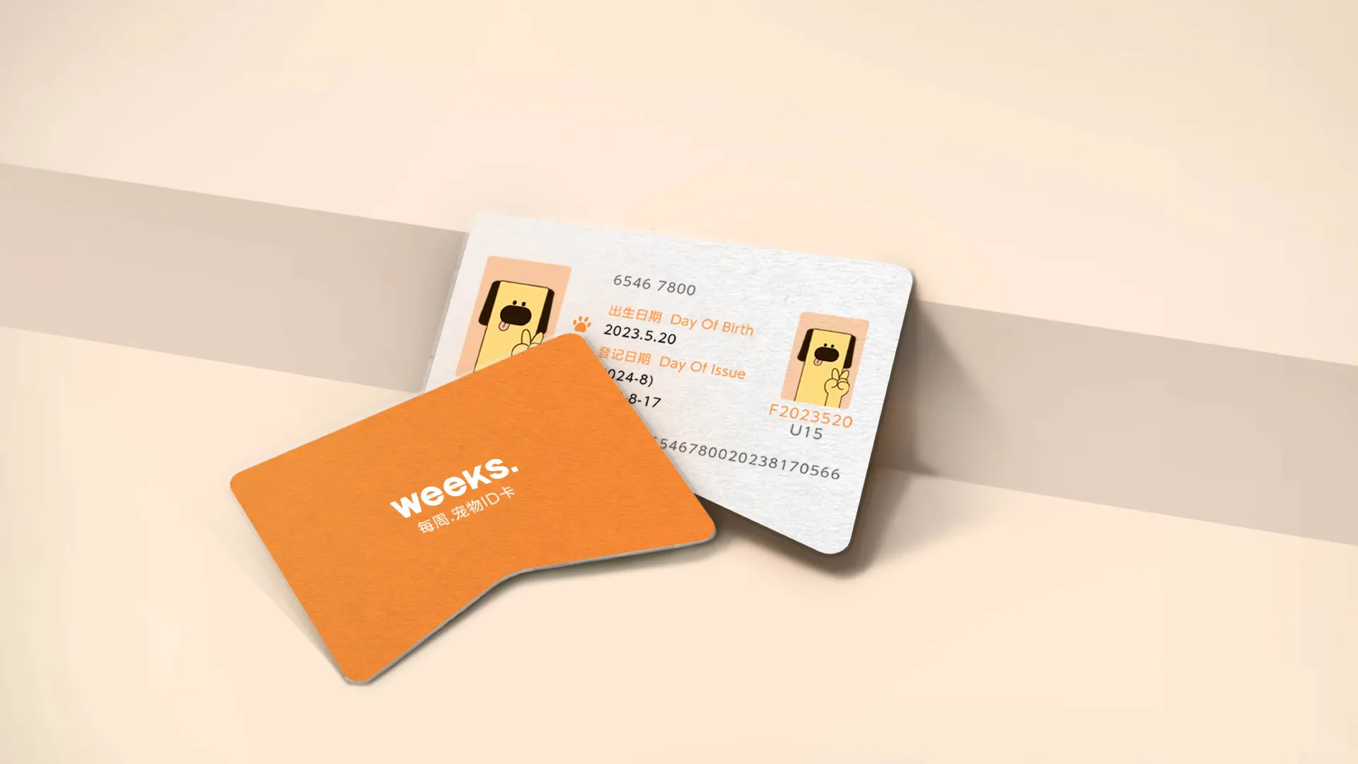 宠物品牌设计提案/每周.狗狗食品店?