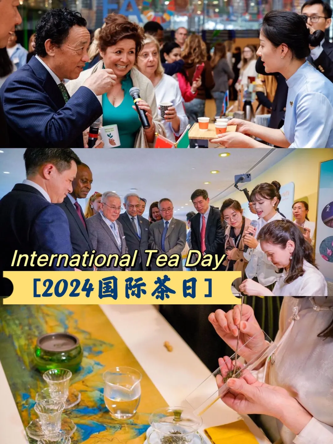 过完了国际茶日，还有悉尼茶博会