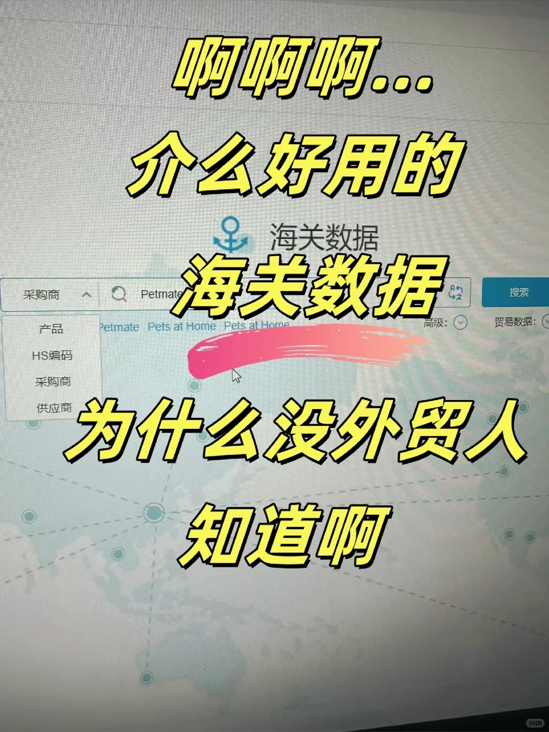 啊介么好用的海关数据为什么没外贸人知道啊