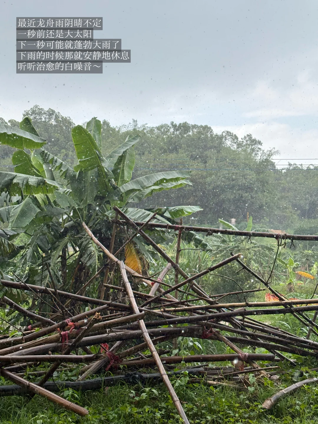 28岁在农村成为一名农场主是怎么样的体验?