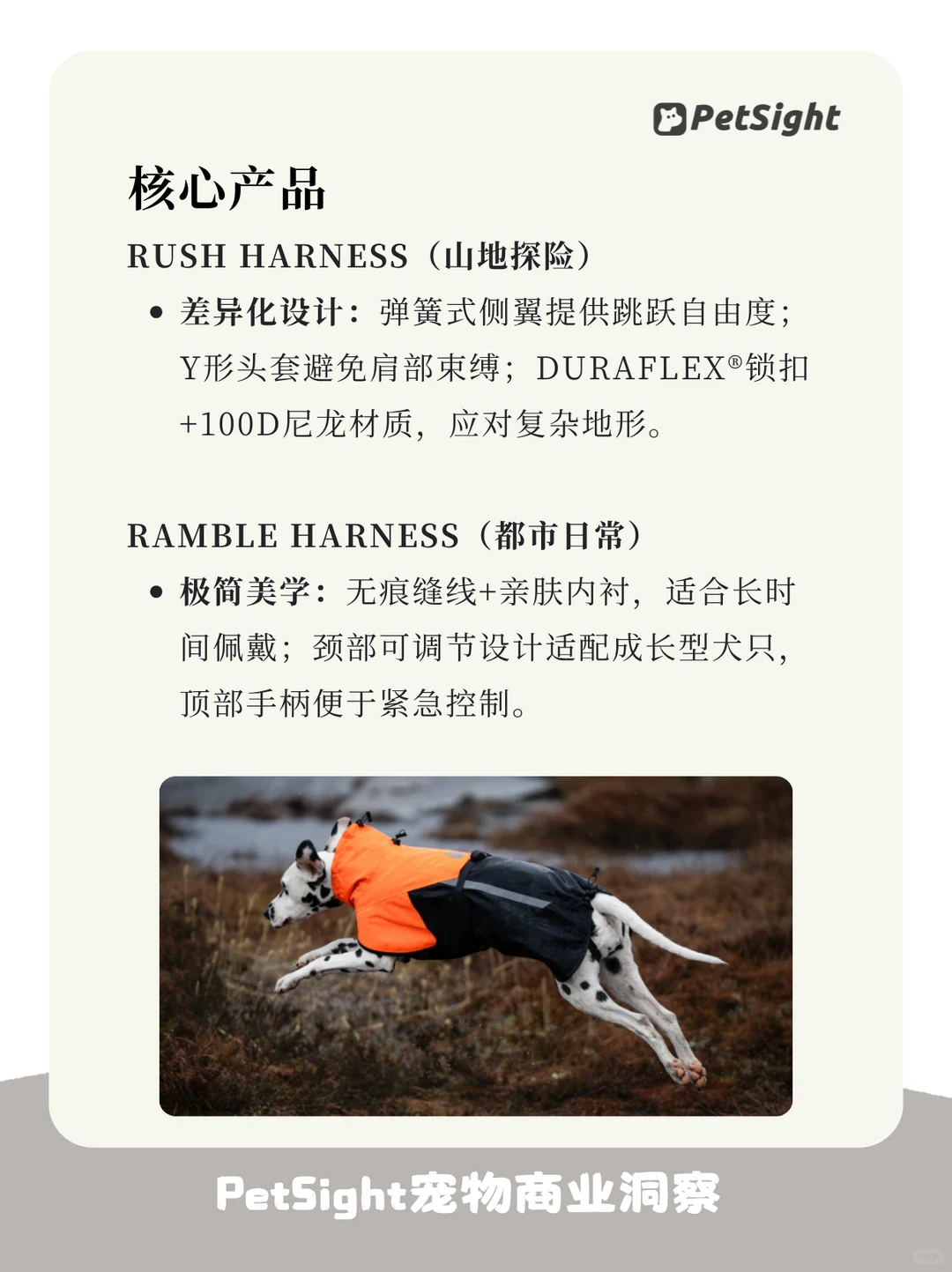 宠物品牌拆解04｜北欧户外犬服品牌Nonstop