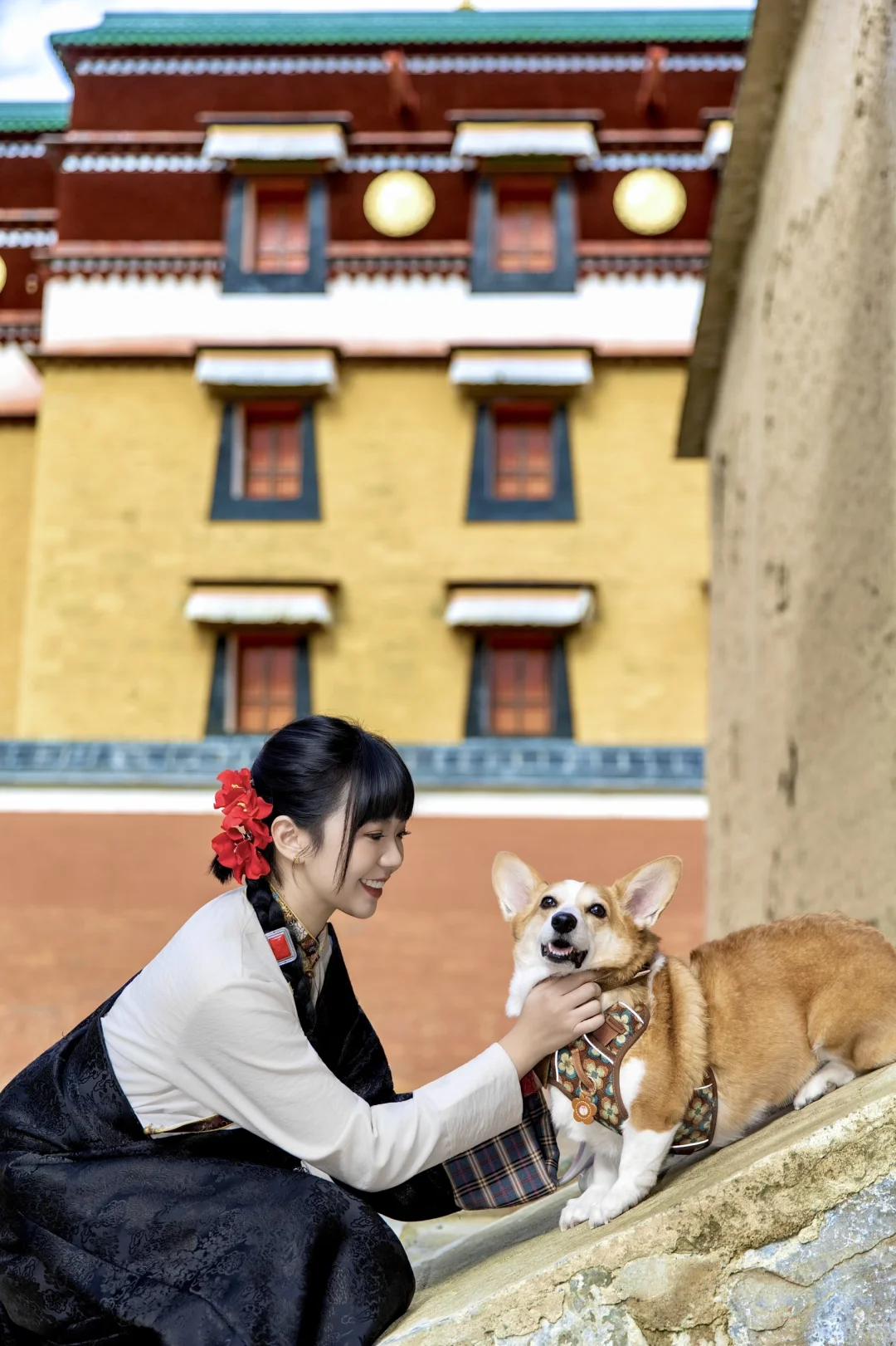 天津出发~带狗自驾甘南-拉卜楞寺