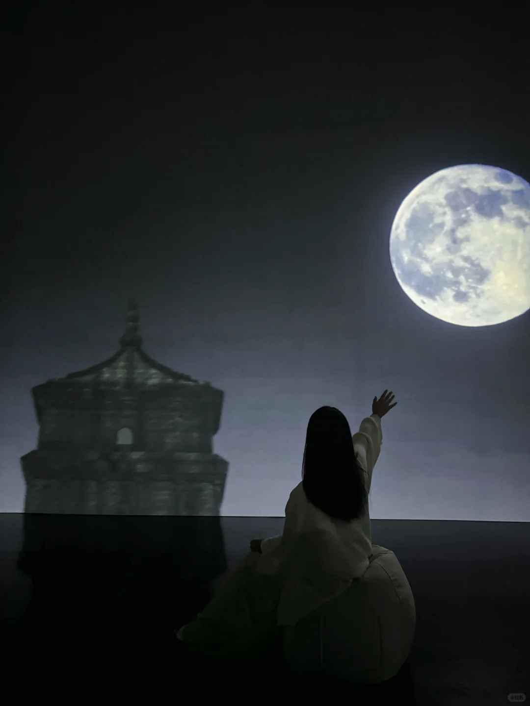 穿越丝路！数字展里邂逅千年文明