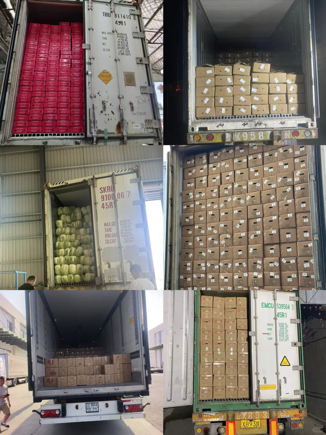 水果蔬菜专注出口，农产品出口多种国家