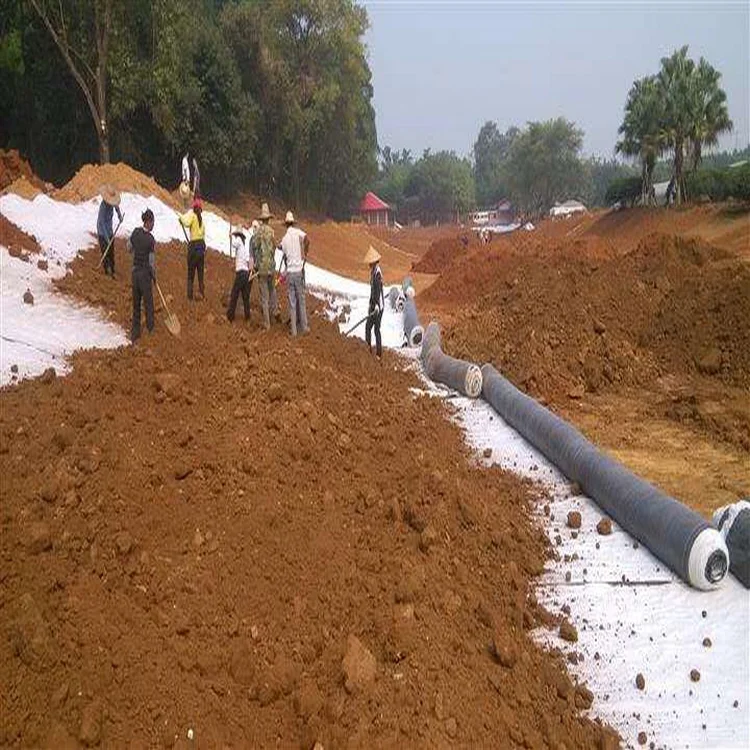 濮阳防渗土工膜案例分享