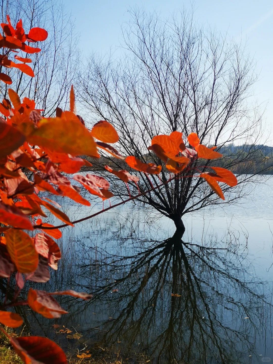北京市西郊雨洪调蓄工程