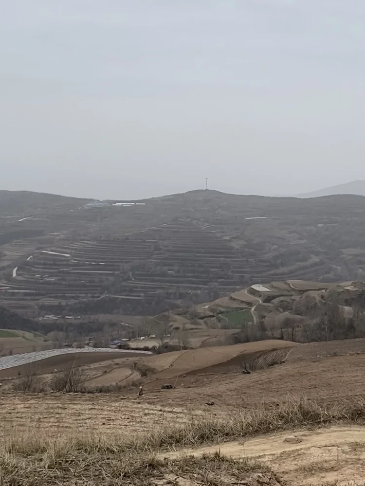 放弃城市offer,回到甘肃农村种药材？