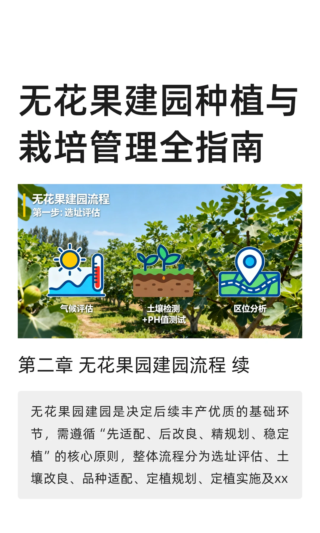 无花果建园种植与栽培管理全指南 第二章下