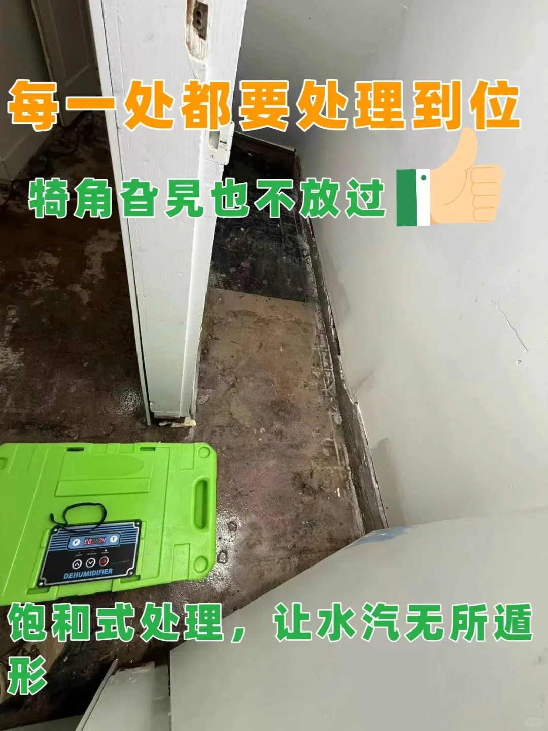 重生记｜地下室变身