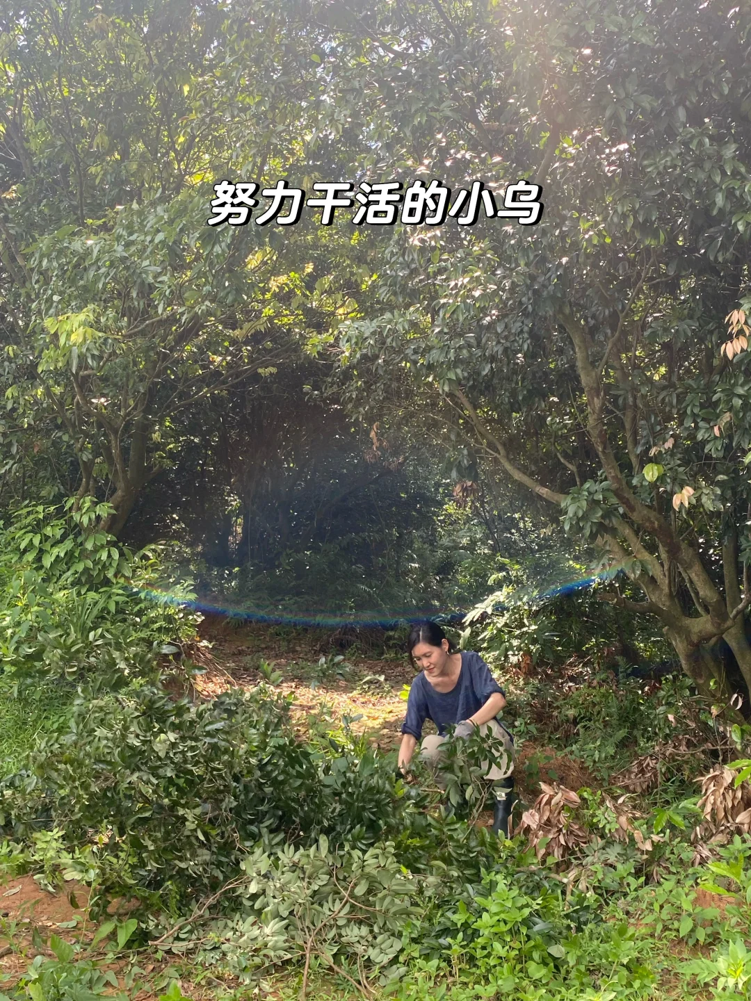 女人真的不能搞农场！