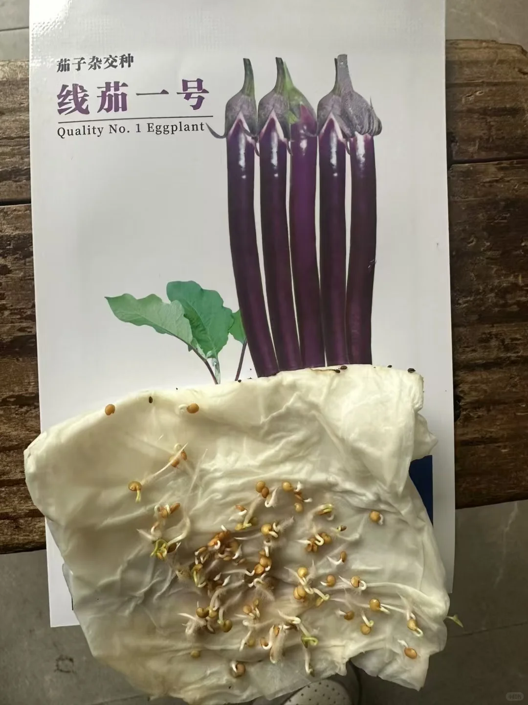 做种子行业，最悲哀的事情还是来了！