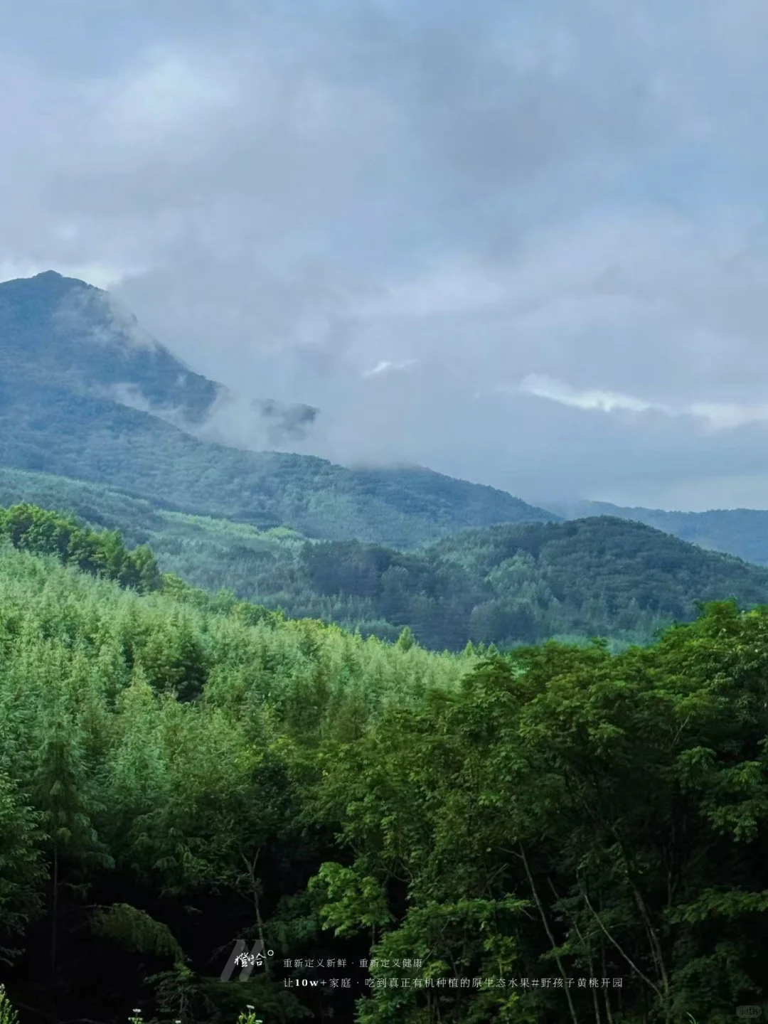 新农人必看！?表演?压力轻松YIN流