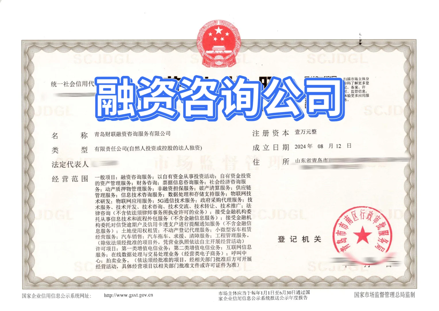 融资咨询公司转让