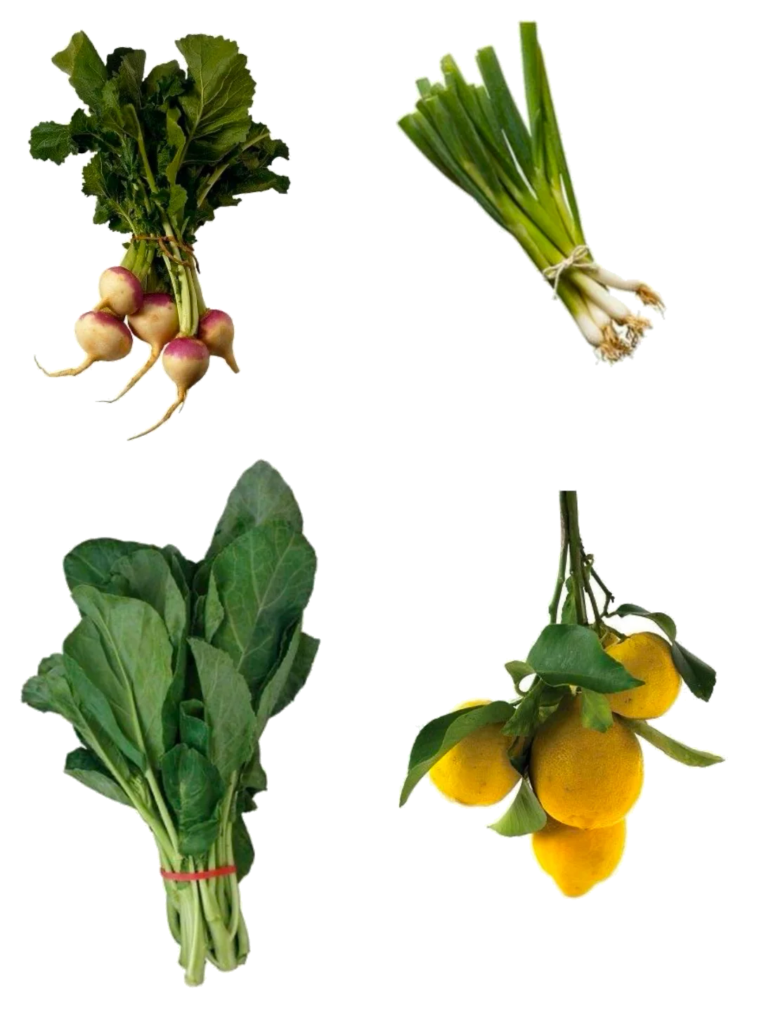 TS'sharing 素材分享第103期｜蔬菜水果