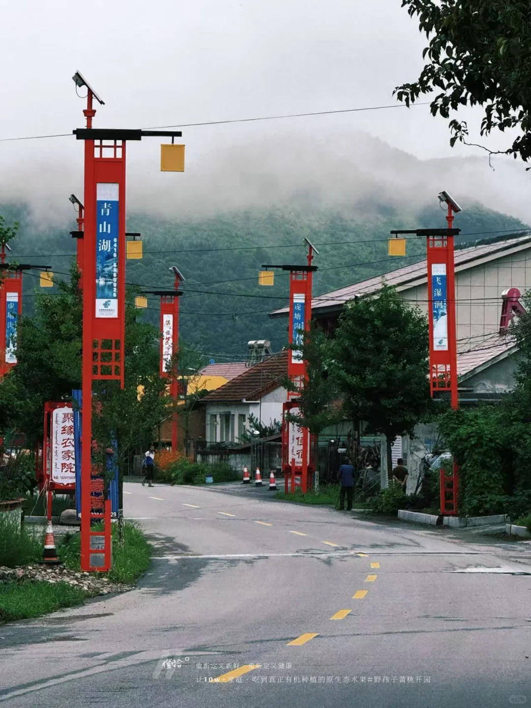 新农人必看！?表演?压力轻松YIN流