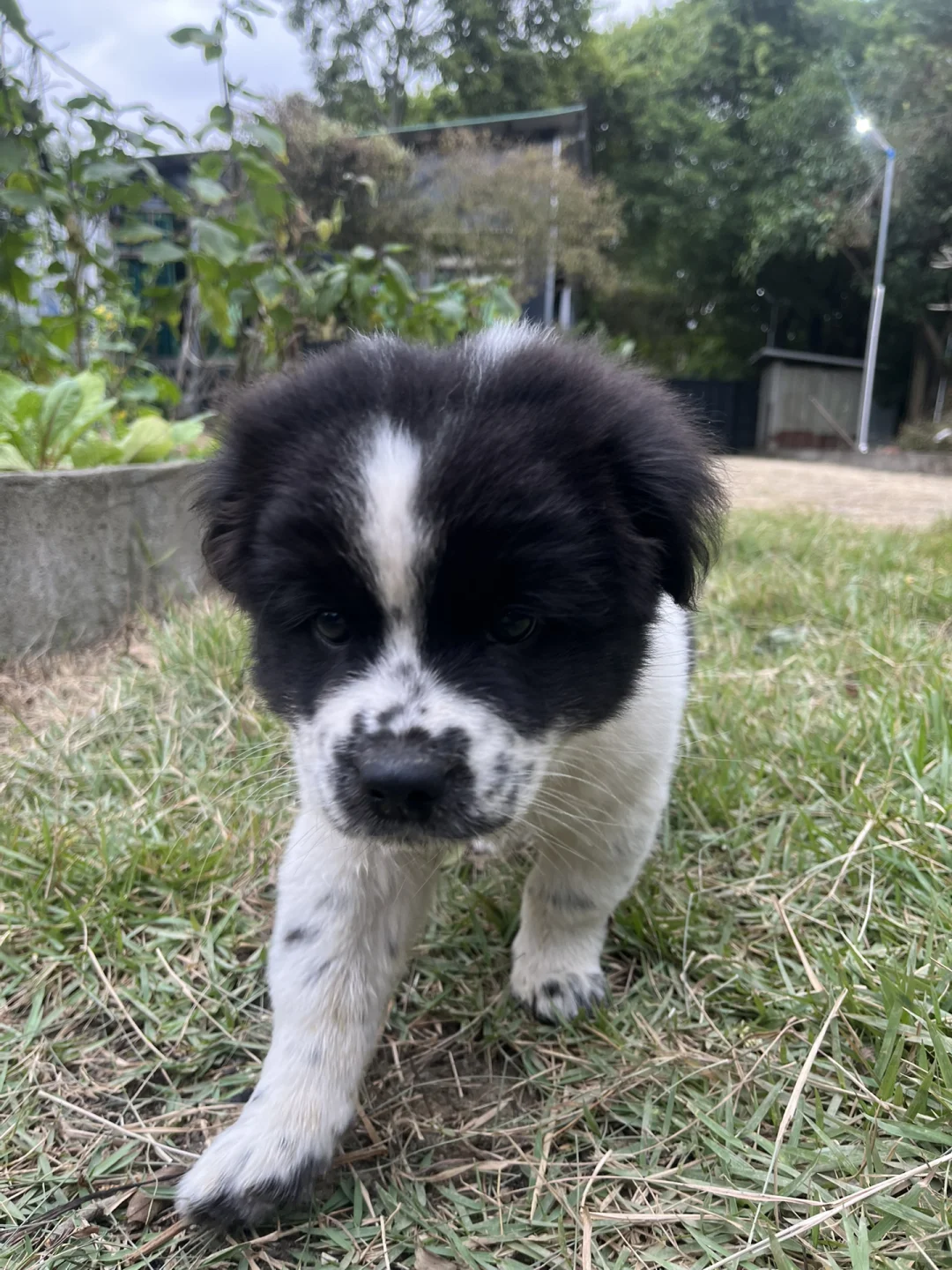 农场招室友！一起种菜撸?躺平呀?