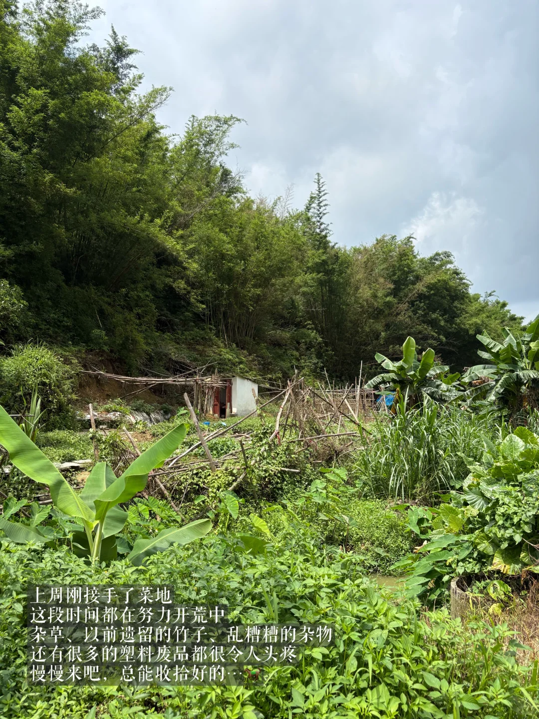 28岁在农村成为一名农场主是怎么样的体验?