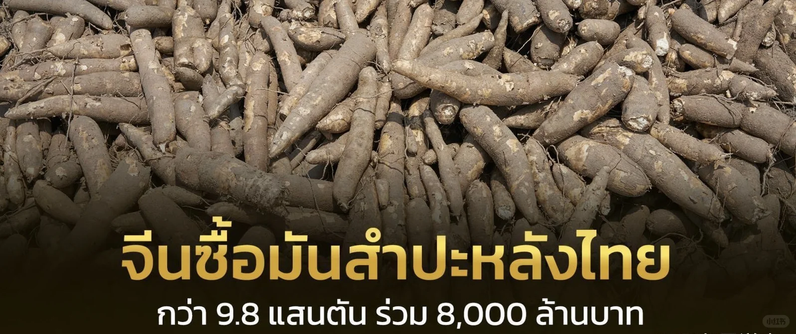 泰国对华出口贸易