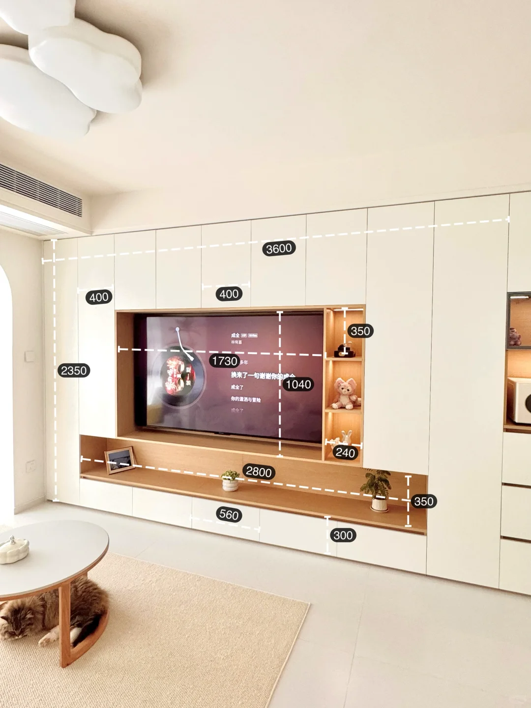 被疯狂抄作业的满墙柜子，?1.2W 值不值呢