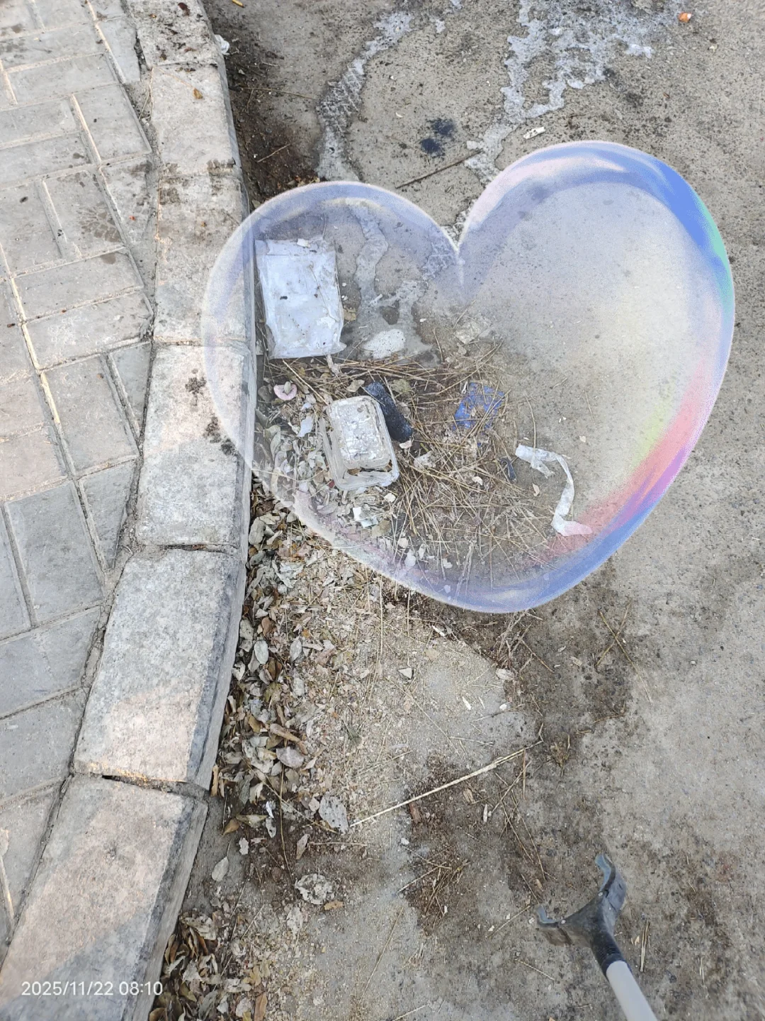 2025.11.22捡垃圾?