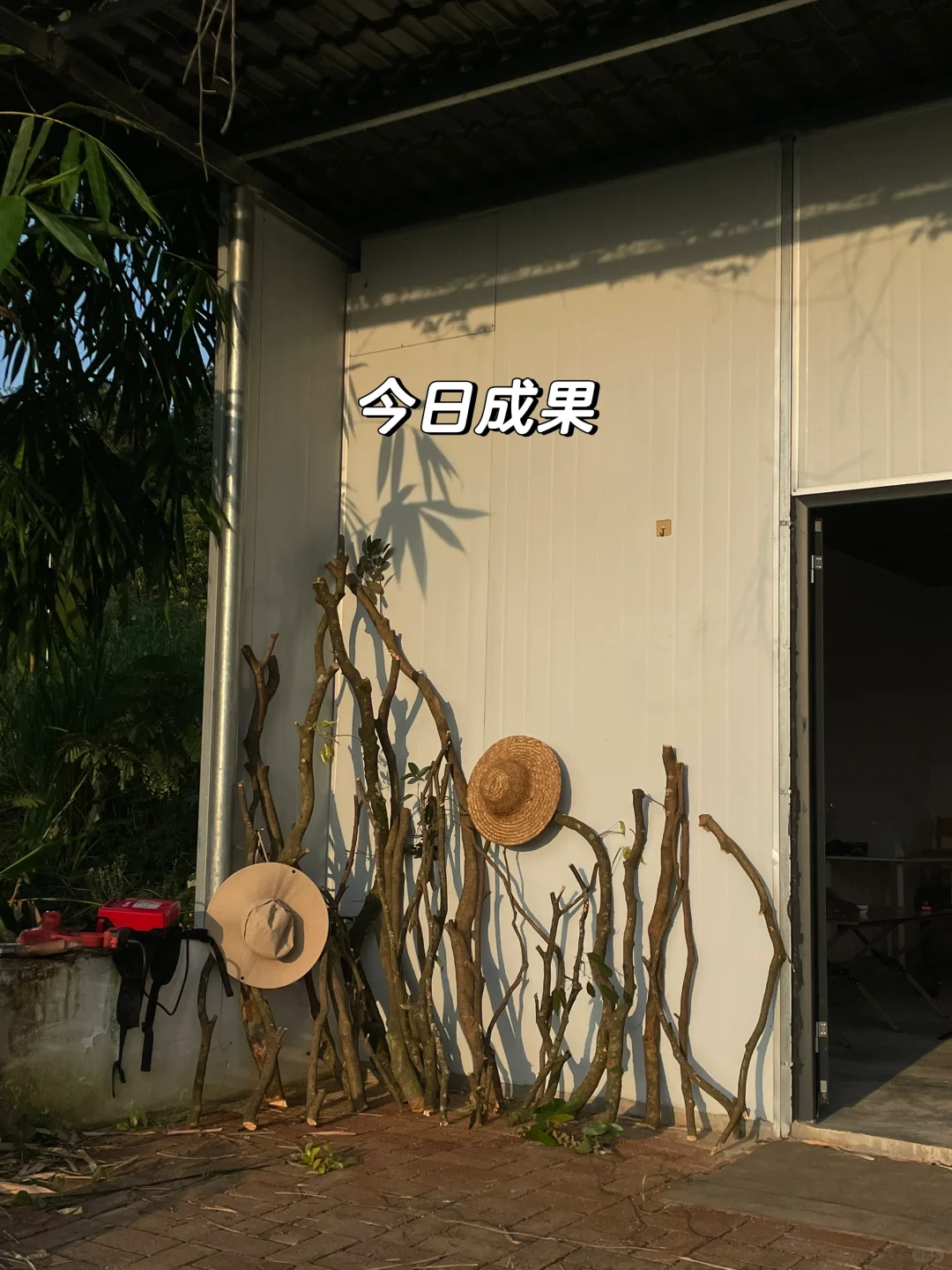 女人真的不能搞农场！