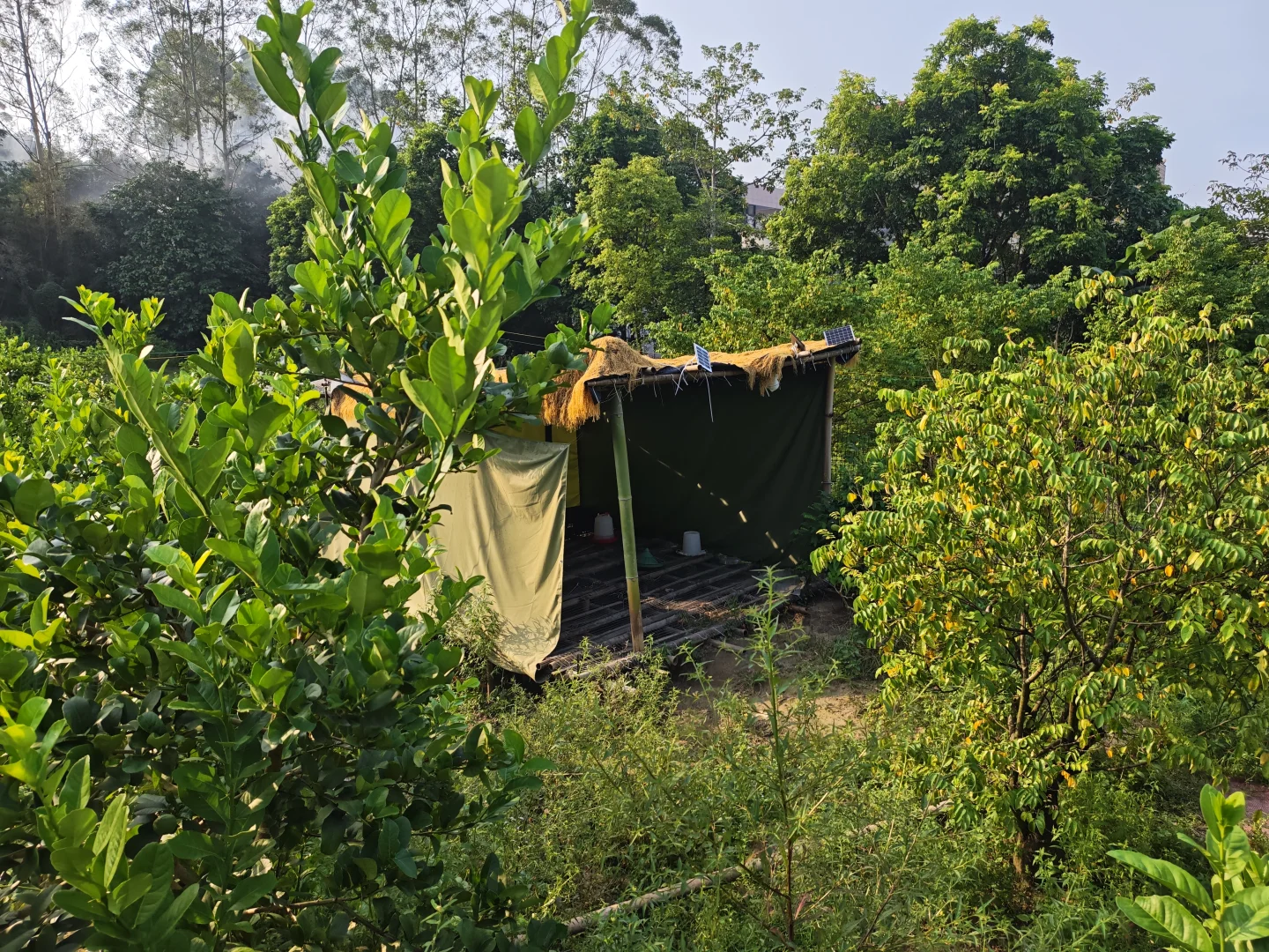 果园出租 农庄转让 着急拆伙出手