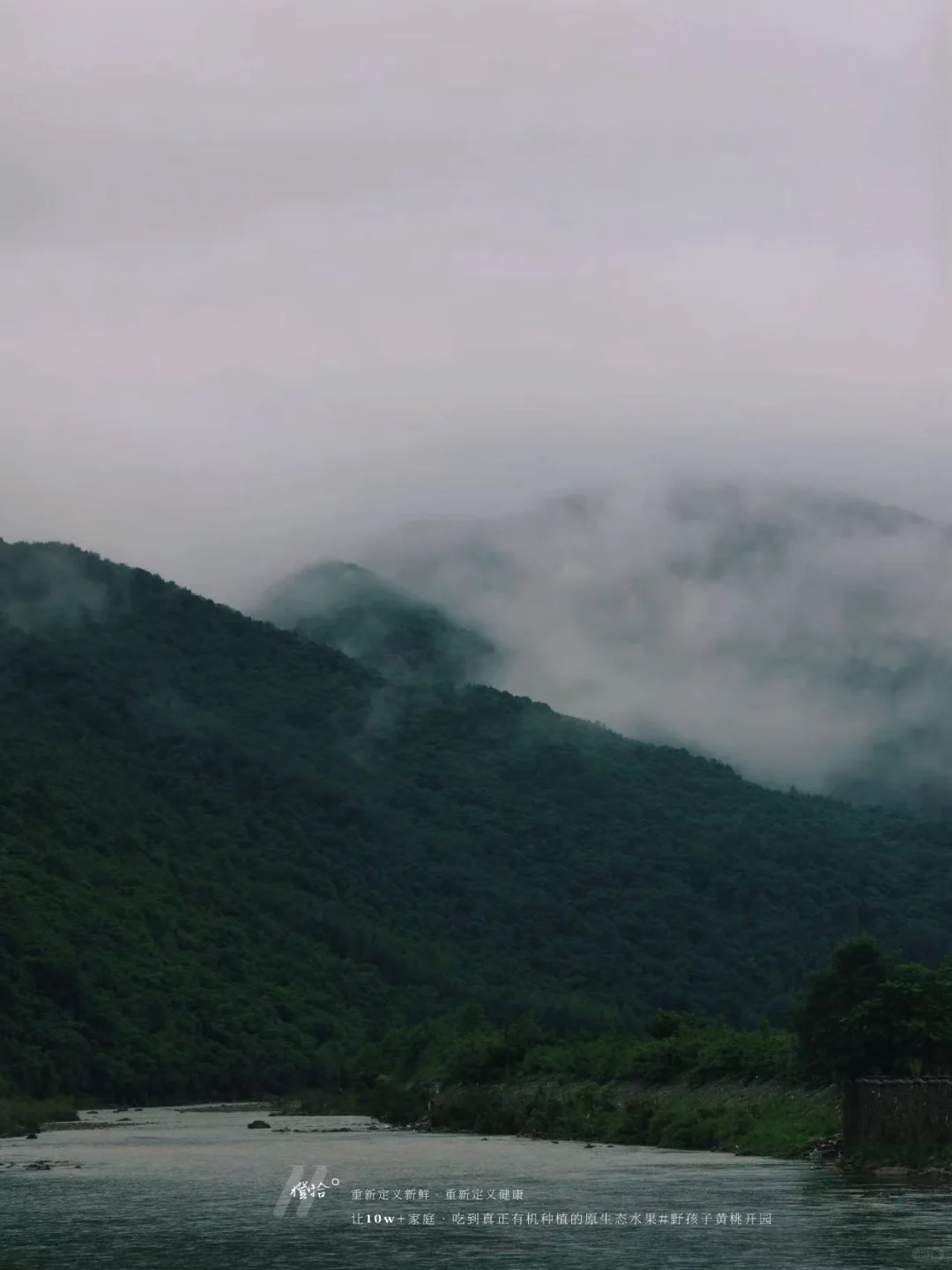 新农人必看！?表演?压力轻松YIN流