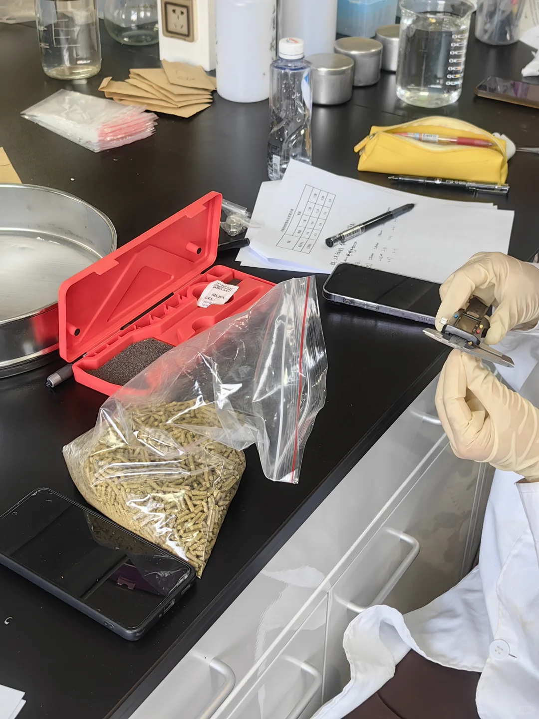 2︱草产品加工︱颗粒饲料品质鉴定