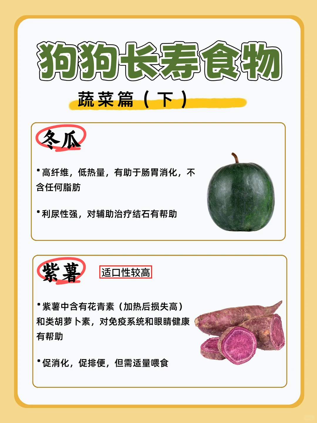 宠物健康|狗狗长寿食物|长寿蔬菜（下）