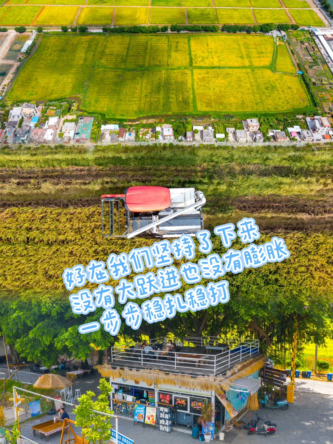 乡村振兴 | 大学生回乡创业做农业文旅