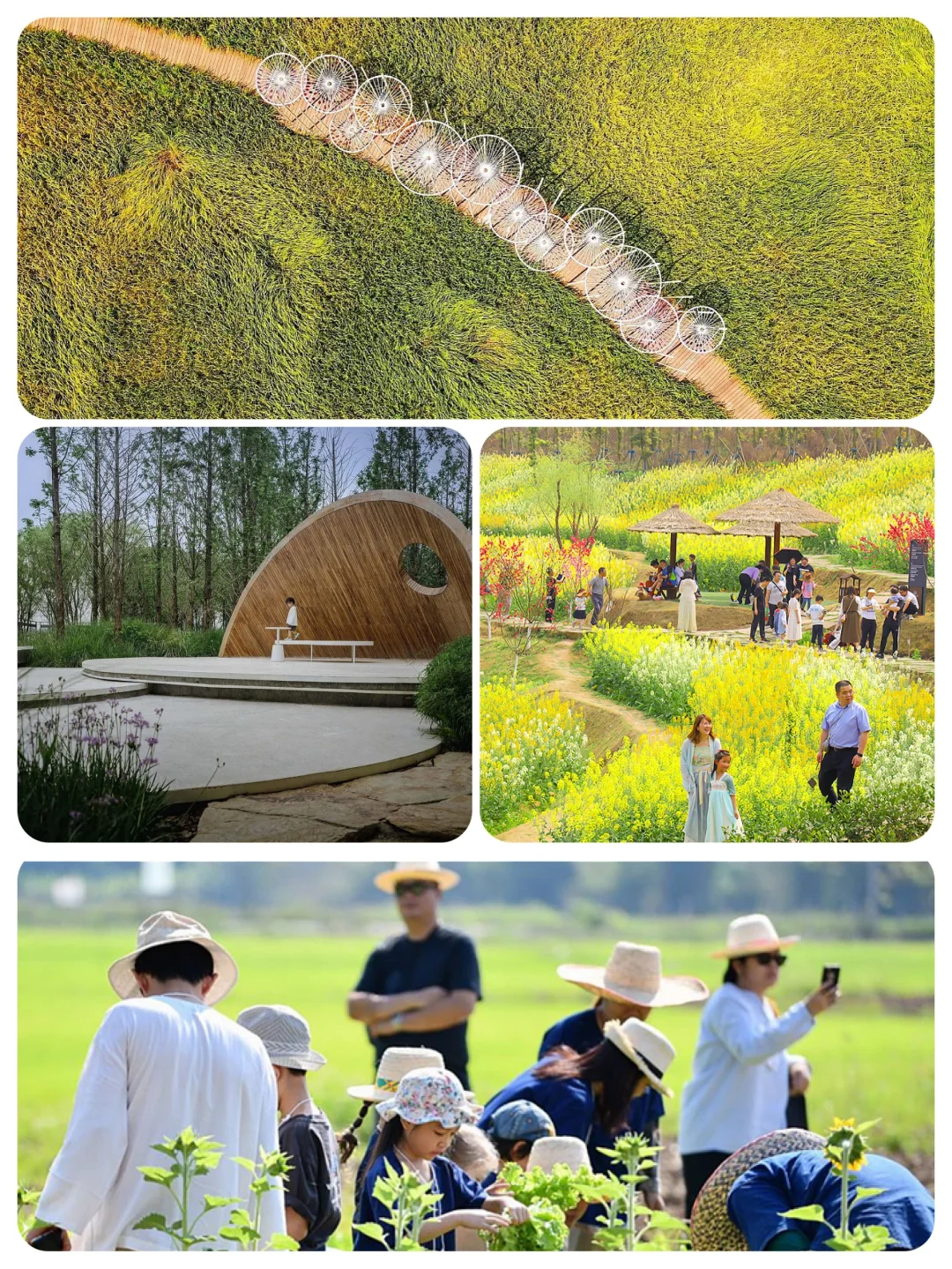 火了很多年的乡村文旅