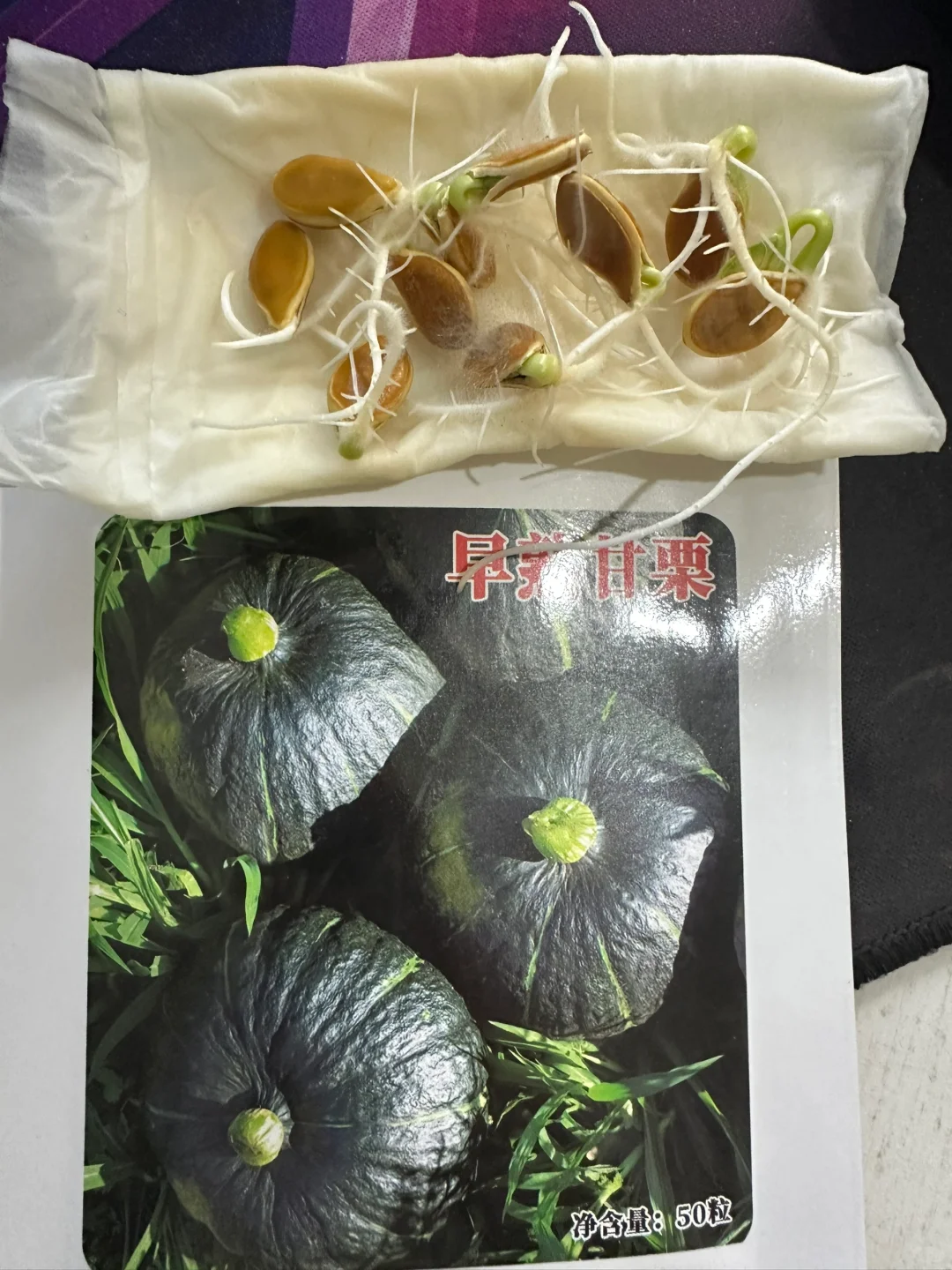 做种子行业，最悲哀的事情还是来了！