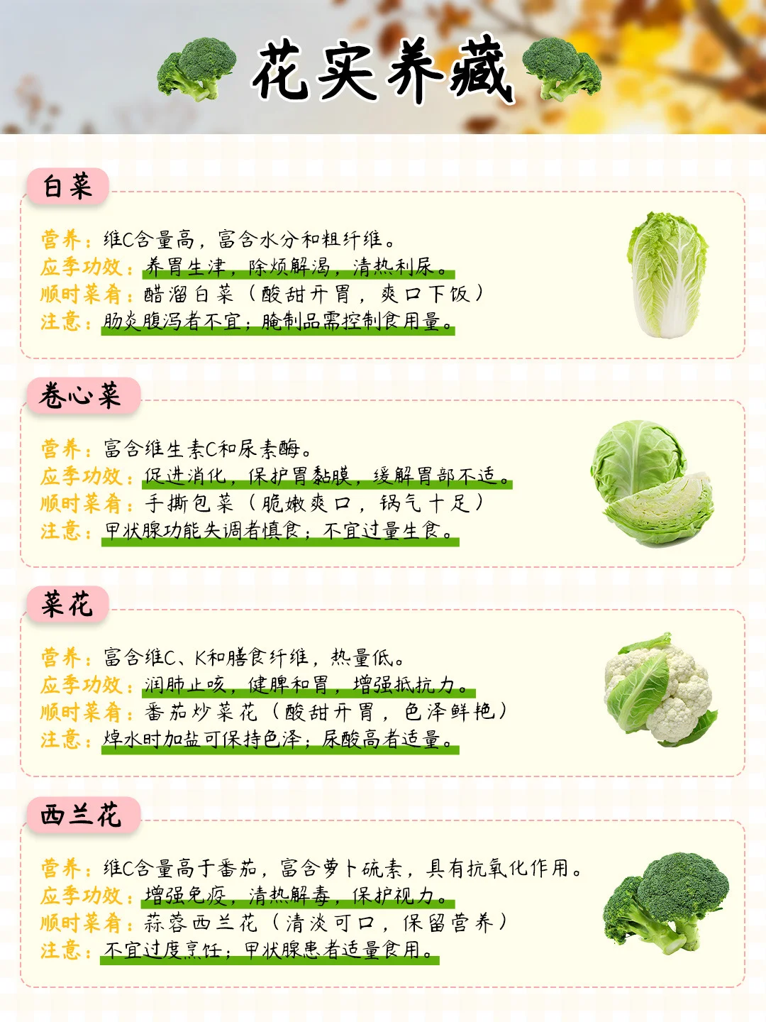 11月吃什么蔬菜?顺时养生?暖身应季菜TOP16